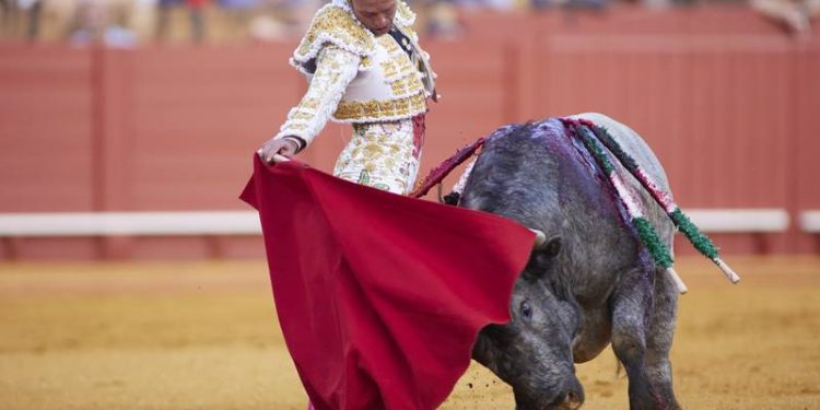 Jueza rechaza suspensión definitiva de las corridas de Toros en la CDMX