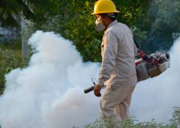 Tabasco cierra enero con aumento en casos de dengue: Más de 500 nuevos registros