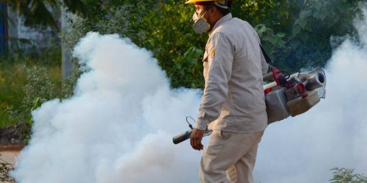 Tabasco cierra enero con aumento en casos de dengue: Más de 500 nuevos registros