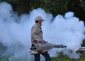 Continúan casos de Dengue en Quintana Roo