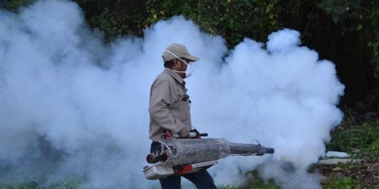 Continúan casos de Dengue en Quintana Roo
