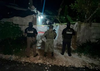 FGE Quintana Roo, Sedena y Guardia Nacional aseguran drogas un vehículo y cartuchos útiles en cuatro cateos en Benito Juárez y Othón P. Blanco