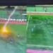 Futbolista pierde la vida tras ser impactado por un rayo en pleno juego en Indonesia