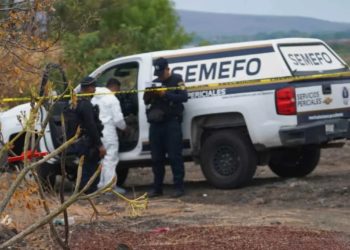 Encuentran 11 cadáveres en varias fosas clandestina en Tarímbaro