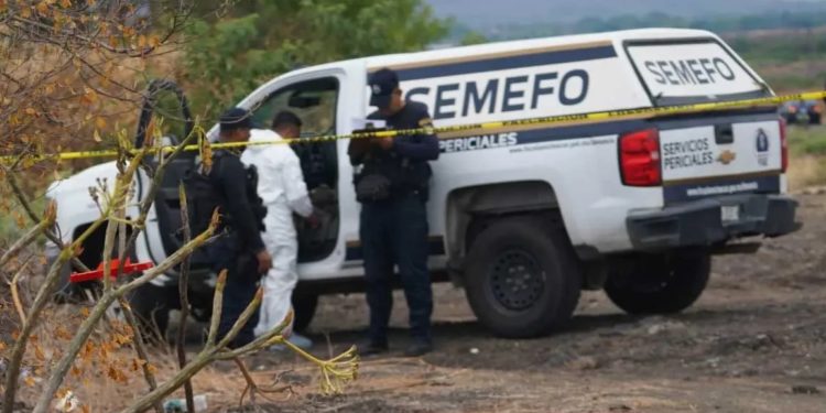 Encuentran 11 cadáveres en varias fosas clandestina en Tarímbaro