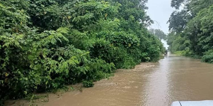 Reubicación de 45 familias en Tacotalpa debido a riesgo geológico