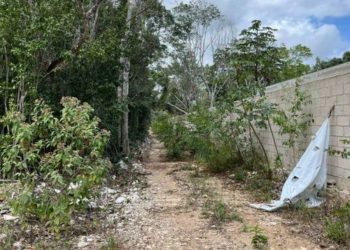 Encuentran restos humanos en fraccionamiento Aloja, Cancún