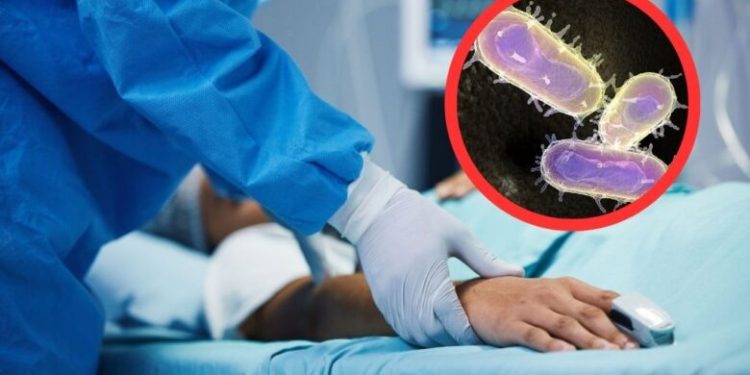 Fallece hombre por peste bubónica en EU