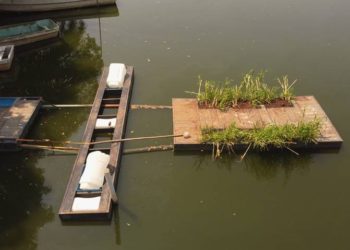Instalan comedero para manatíes en Laguna de las Ilusiones
