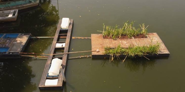 Instalan comedero para manatíes en Laguna de las Ilusiones