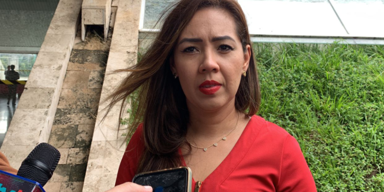 Partidos tienen 15 días para subir información al sistema ‘Candidatas y Candidatos, Conóceles’