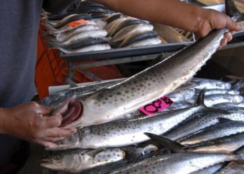 Emite Salud recomendaciones para cuidar consumo de pescados y mariscos por cuaresma