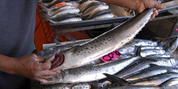 Emite Salud recomendaciones para cuidar consumo de pescados y mariscos por cuaresma
