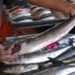 Emite Salud recomendaciones para cuidar consumo de pescados y mariscos por cuaresma