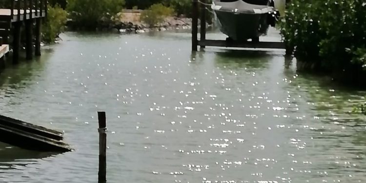 Roberto Palazuelos sale a desmentir acusaciones en su contra