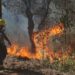 Conafor reporta atención de cuatro incendios forestales en Tabasco al inicio del estiaje