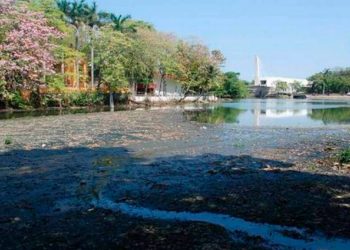 Buscan 10 millones de pesos para mejorar entorno de Laguna de Las Ilusiones