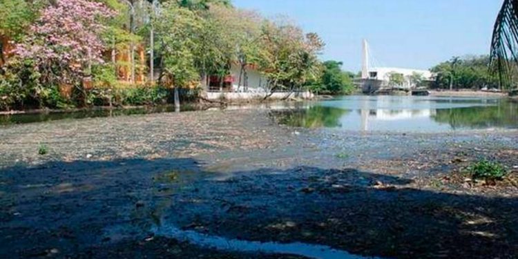 Buscan 10 millones de pesos para mejorar entorno de Laguna de Las Ilusiones