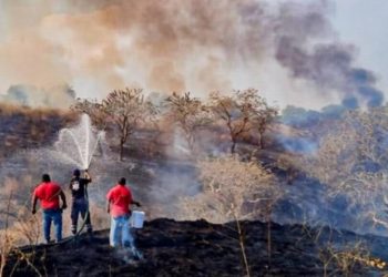 Aumenta atención a incendios durante temporada de estiaje, reconoce Protección Civil