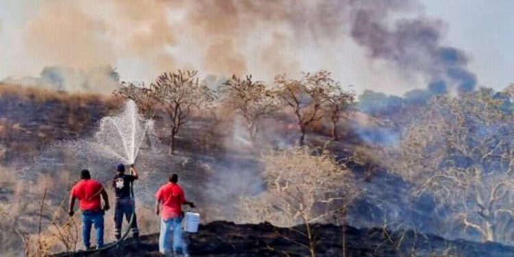 Aumenta atención a incendios durante temporada de estiaje, reconoce Protección Civil
