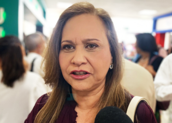 Sedener vigilará atención de CFE a tabasqueños ante inicio de temporada de calor