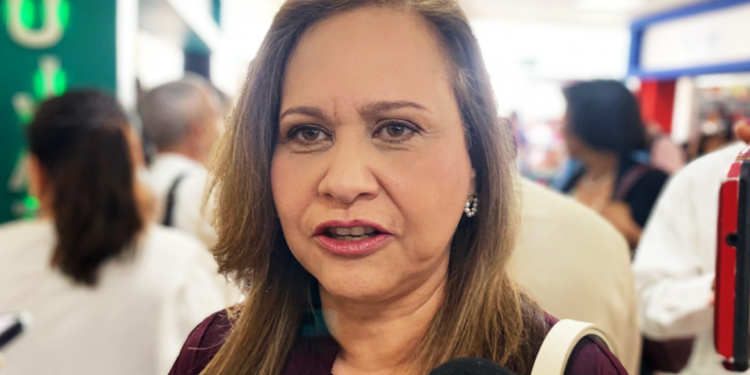 Sedener vigilará atención de CFE a tabasqueños ante inicio de temporada de calor