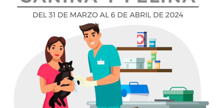 Se fortalece estrategia de prevención y campaña antirrábica en Quintana Roo