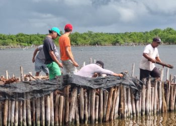 Estudiantes de la Universidad de Chapingo concluyen sus estancias profesionales
