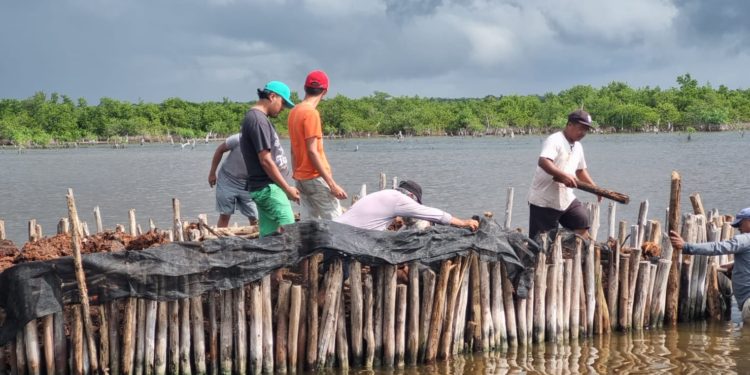 Estudiantes de la Universidad de Chapingo concluyen sus estancias profesionales