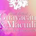 Inicia este miércoles el Festival Guayacán & Macuilí 2024