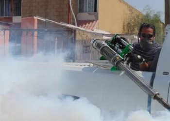 Setab implementa medidas ante brotes de dengue en Tabasco