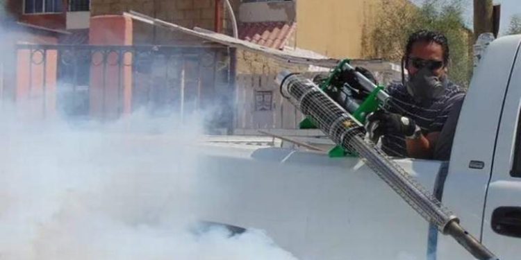 Setab implementa medidas ante brotes de dengue en Tabasco