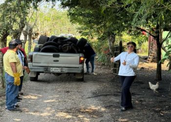 Continúa campaña contra el Dengue en municipios de Tabasco