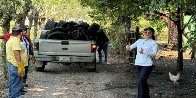 Continúa campaña contra el Dengue en municipios de Tabasco