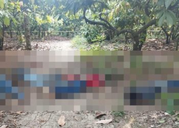Homicidios de últimas horas, resultado de lucha entre bandas locales separadas, insiste gobierno en Tabasco