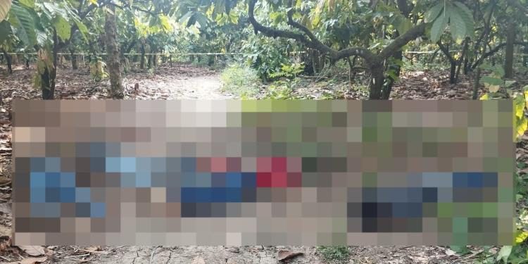 Homicidios de últimas horas, resultado de lucha entre bandas locales separadas, insiste gobierno en Tabasco