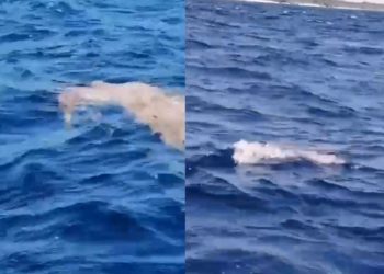 Encuentran cuerpo flotando en el mar de Puerto Morelos