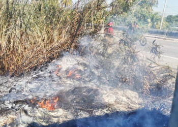 Pérdida de 30 mil hectáreas forestales en Tabasco por incendios