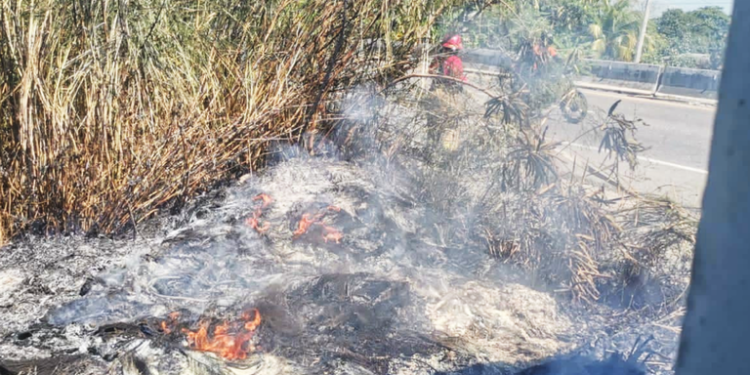 Pérdida de 30 mil hectáreas forestales en Tabasco por incendios