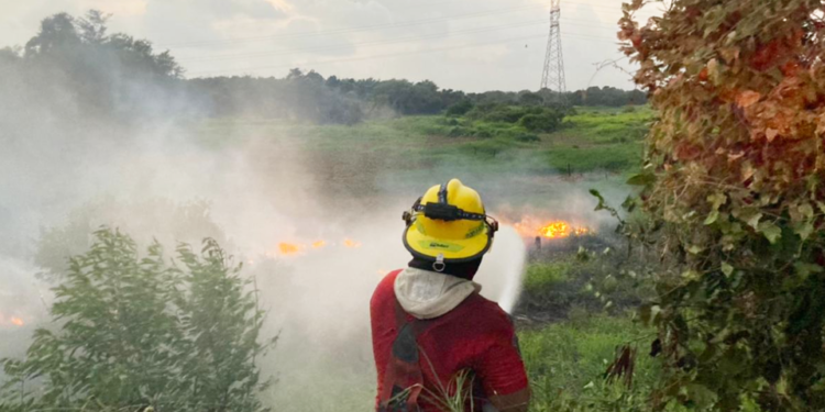 Advierte Protección Civil sobre el aumento de incendios por el calor