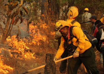 Aumenta a 120 la cifra de incendios forestales en México