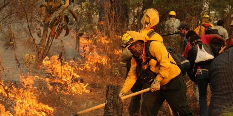 Aumenta a 120 la cifra de incendios forestales en México