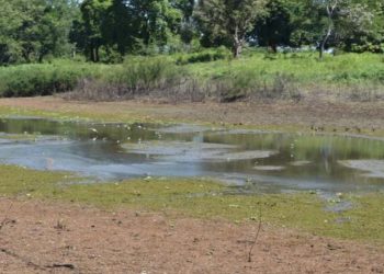 Estiaje severo se adelanta en Tabasco según CONAGUA