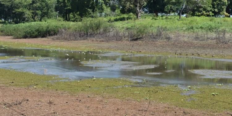 Estiaje severo se adelanta en Tabasco según CONAGUA