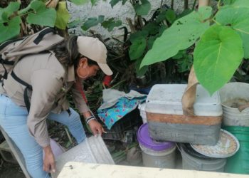 Invita SESA aplicar estrategia de patio limpio en las viviendas