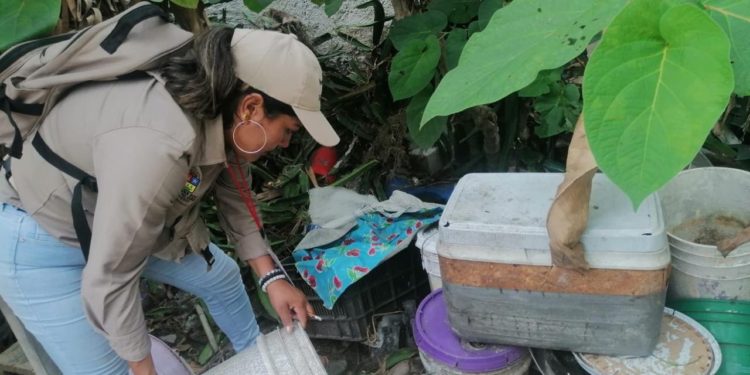Invita SESA aplicar estrategia de patio limpio en las viviendas