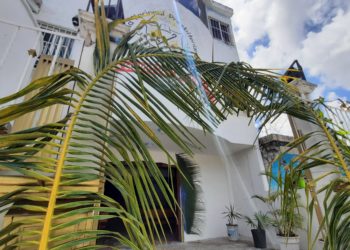 Se preparan iglesias de Cancún para celebrar el Domingo de Ramos