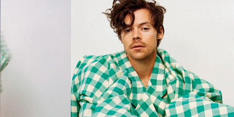 Condenan a prisión a mujer que acosó a Harry Styles