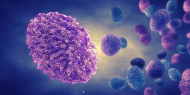 Descubren cepa mutante de la viruela del mono