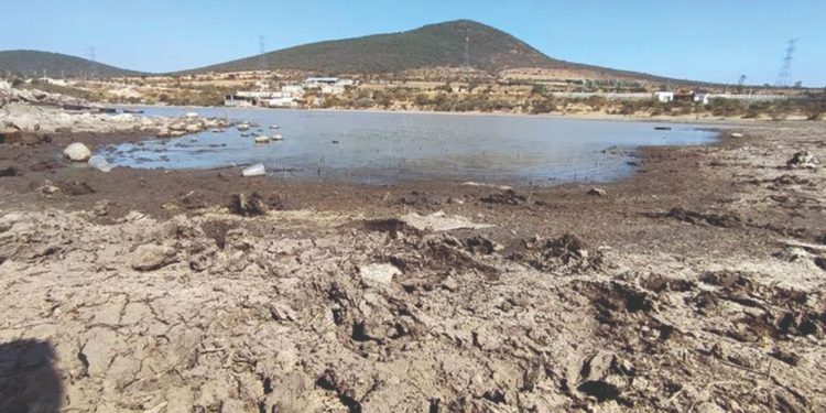 Se agota el agua de las presas en Querétaro: Conagua